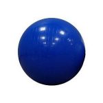 55cm Swiss Ball